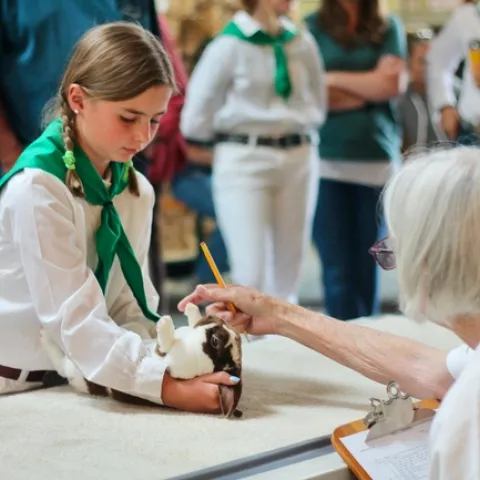 Youth with rabbit. In front of a judge.