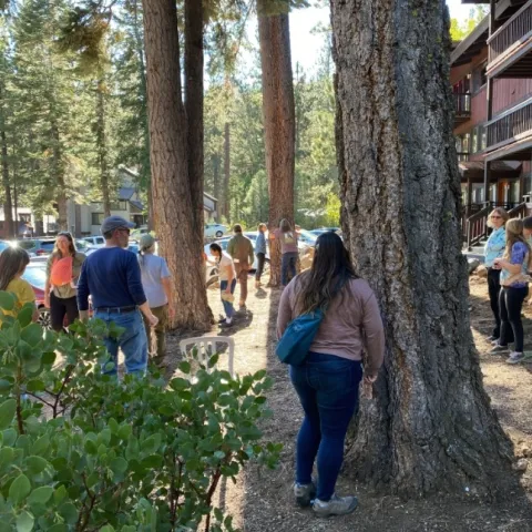 Project Learning Tree encourages using multiple senses to learn about forests. Here, students use their sense of smell.