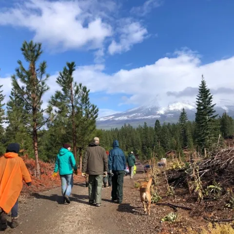 Forest Stewardship Workshop participants, Siskiyou field day.