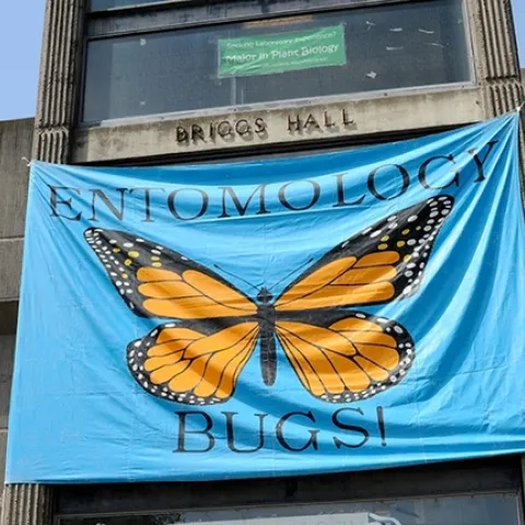 All in-person seminars hosted by the UC Davis Department of Entomology and Nematology will be held in Room 122 of Briggs Hall. (Photo by Kathy Keatley Garvey)