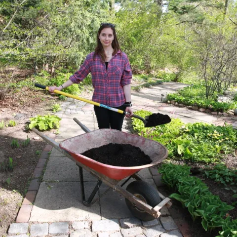 Adding compost and mulch to your garden regularly increases soils ability to retain moisture. Photo: MPCA photos