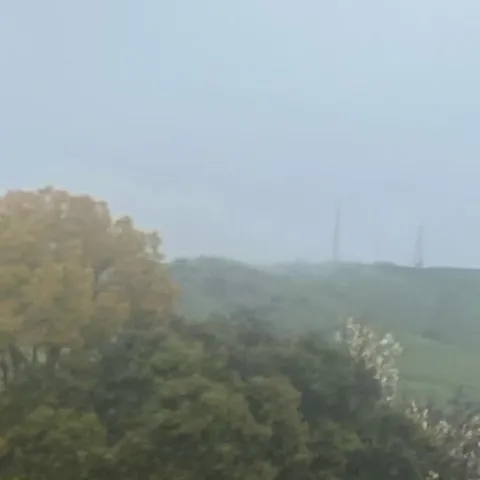 photo by Mike Gunther