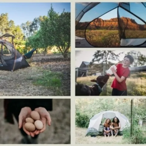 Screenshot 2023-04-06 132630