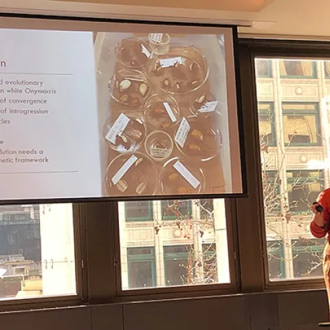 First-year doctoral student Iris Quayle presenting her research at the Pacific Branch, Entomological Society of America meeting. (Photo by Lisa Chamberland)