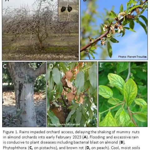 Flood and Rain Article April 2023b