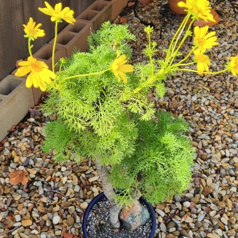 Photo by Polly Nelson