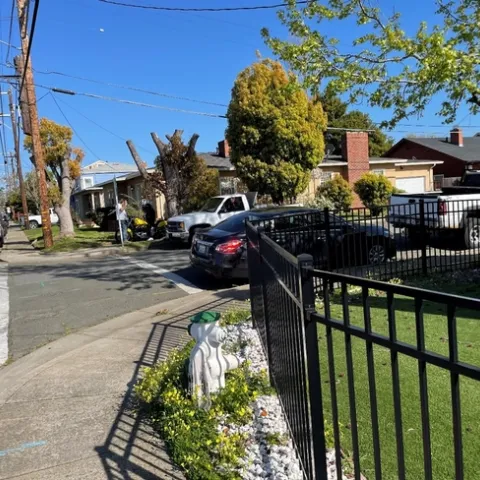 photos by Brenda Altman