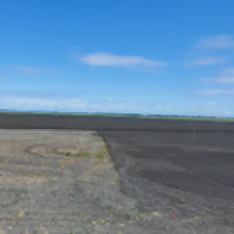 Fallow field where soil was tilled during the 2021 summer (unworked area to the left where soil is a light brown) or during the 2022 spring (rolled area to the right where soil is a dark brown).