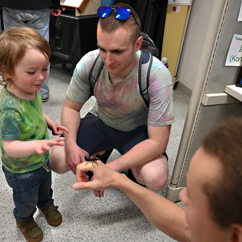 Milo Buterbaugh, 2, of Vacaville, accompanied by his father, Dylan Buterbaugh, gets acquainted with a walking stick held by Bohart associate Christofer Brothers, a UC Davis animal behavior doctoral candidate. (Photo by Kathy Keatley Garvey)