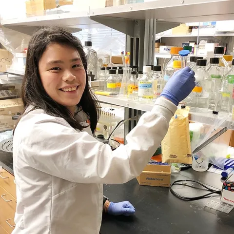 Undergraduate student Rachel Shey, an entomology major, is a research assistant in the lab of UC Davis distinguished professor Bruce Hammock.