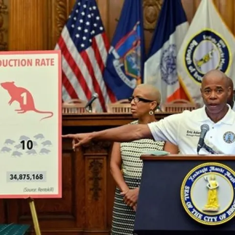 NYC Mayor Eric Adams clarifying the tremendous reproductive potential of the pest rats. PHOTO: ANGELA WEISS/AGENCE FRANCE-PRESSE/GETTY IMAGES