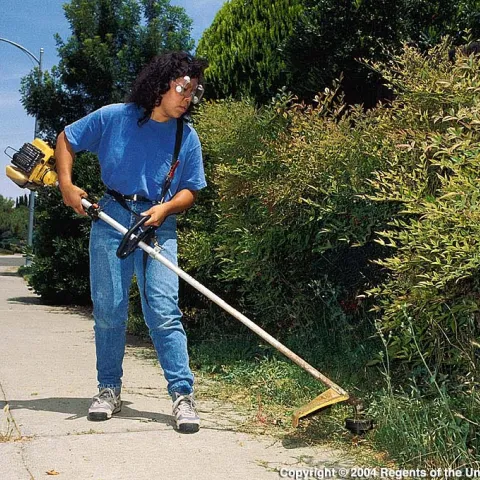 2023-05-TLD-MoonTiming