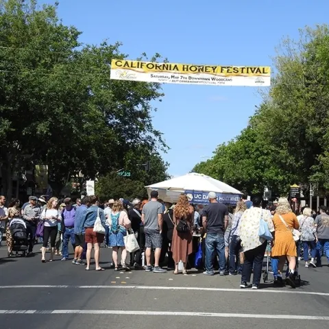 The annual California Honey Festival, launched in 2017, is held in downtown Woodland. (Photo by Kathy Keatley Garvey)