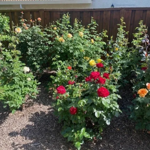 photos by Mike Gunther