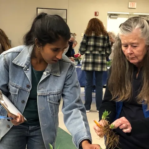 Two people examining parts of a plant.