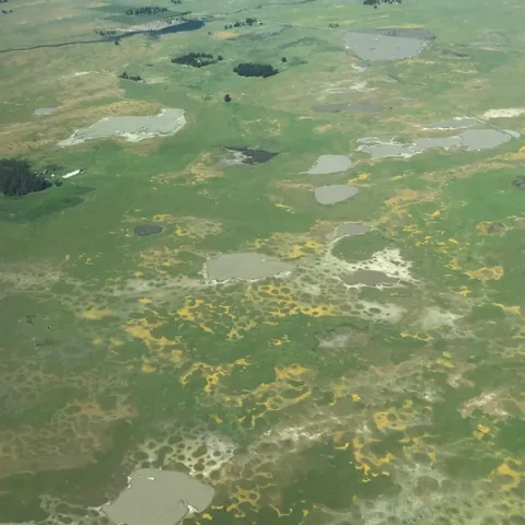 Vernal Pools. Photos by Karen Metz