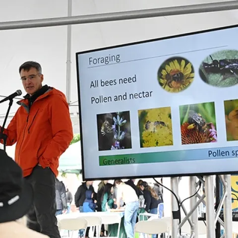 Pollination ecologist Neal Williams, professor, UC Davis Department of Entomology and Nematology, talks about the importance of native bees. (Photo by Kathy Keatley Garvey)