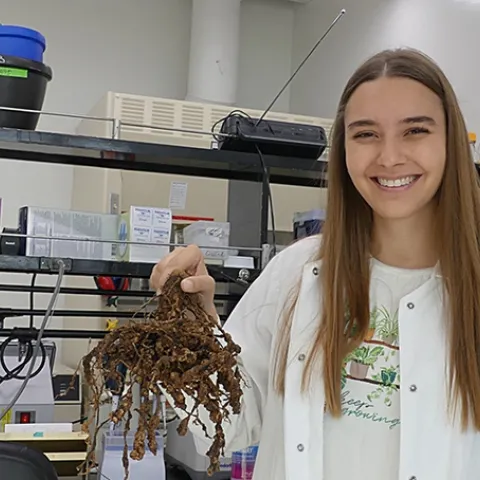 Alison Coomer is a third-year graduate student in the Department of Plant Pathology and a member of the Shahid Siddique lab.