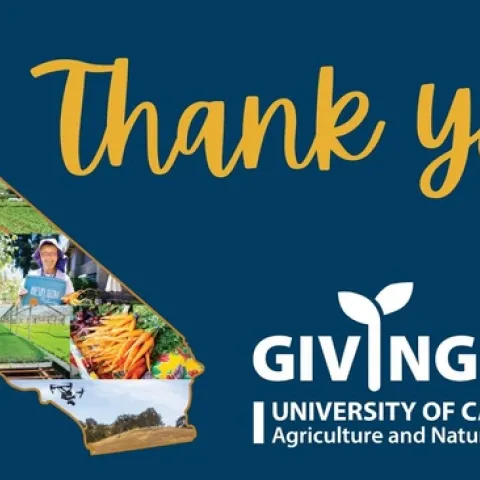 Giving Day Thank you!