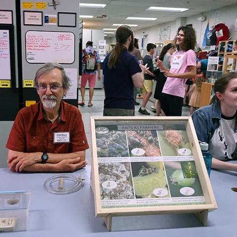 UC Davis professor Phil Ward and lab member Jill Oberski, greet guests at the Bohart Museum open house. In the center is a display on "Ants as Farmers." In back are Bohart collections manager Brennen Dyer (left) conversing with Alex Francis, a freshman at Heritage High School, Brentwood. (Photo by Kathy Keatley Garvey)