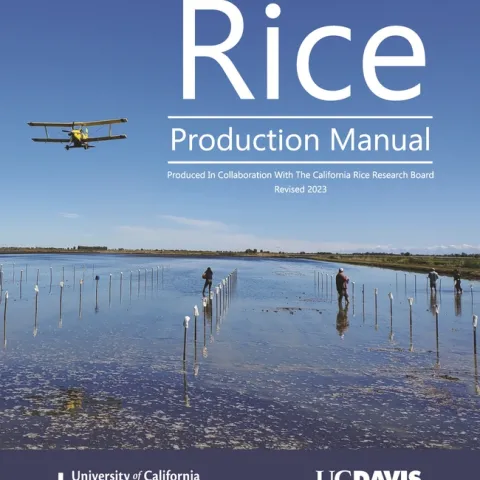 Rice Production Manual cover