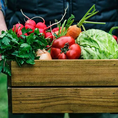 How-to-Plan-a-Vegetable-Garden-FB