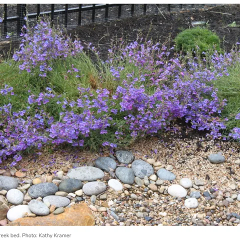Simulated Creek Bed. Photo copyright Kathy Kramer.