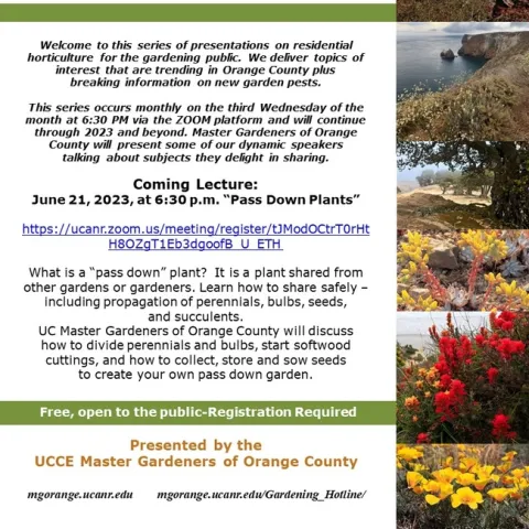 Unlock the Secrets of 'Pass Down' Plants As We Share Tips on Safely Sharing and Propagating Garden Treasures