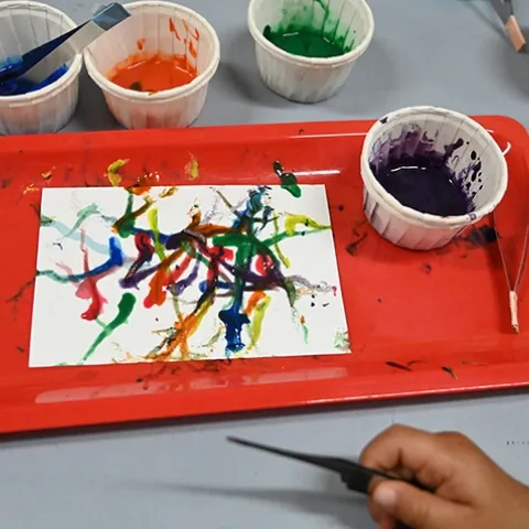 Maggot Art at the Bohart Museum of Entomology open house. Tools of the trade: maggots, water-based and non-toxic paint, paint containers, forceps, and white paper. (Photo by Kathy Keatley Garvey)