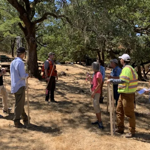 Forestry advisor talks with a workshop group in an oak woodland