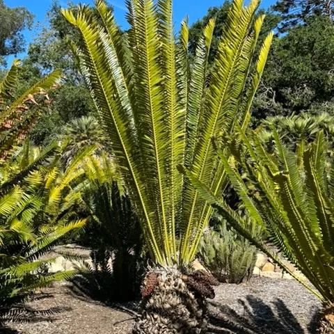 photos by Erin Mahaney