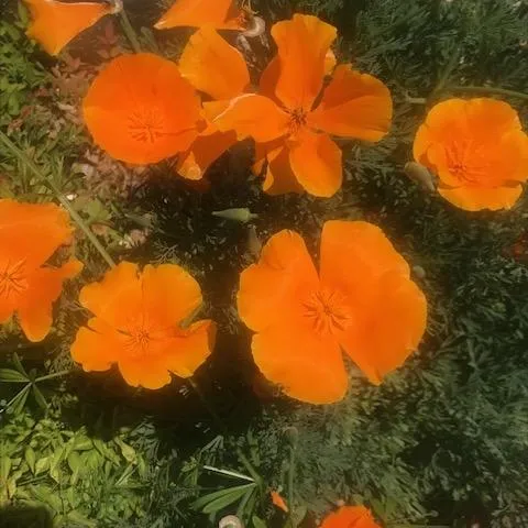 photos by Bernadette Thomas