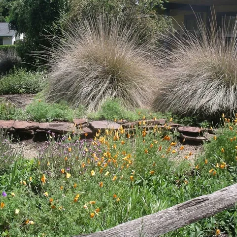 Berm with flat flagstone wall. Cindy Weiner