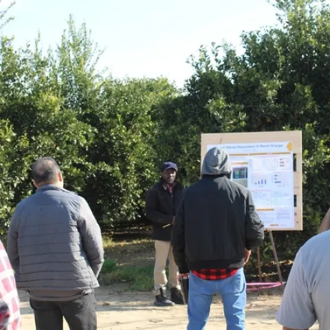 A crowd of people face a presenter and their poster, standing in a grove of trees