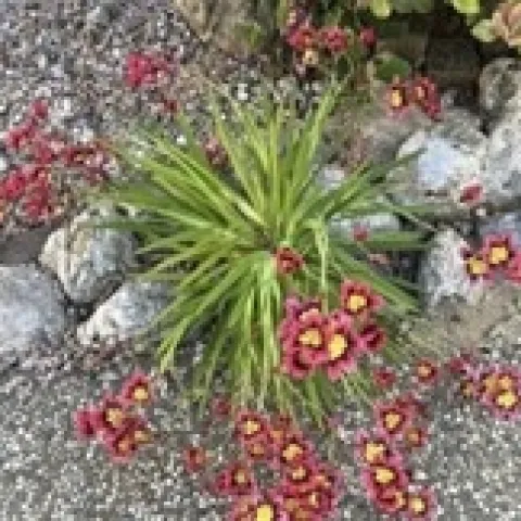 photos by Michelle Krespi