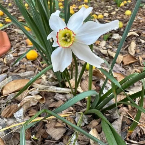 photo by Erin Mahaney