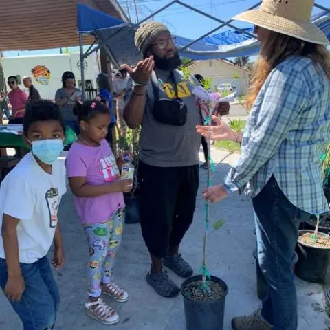 master gardeners explaining tree attributes to a person who will be planting the tree at home.