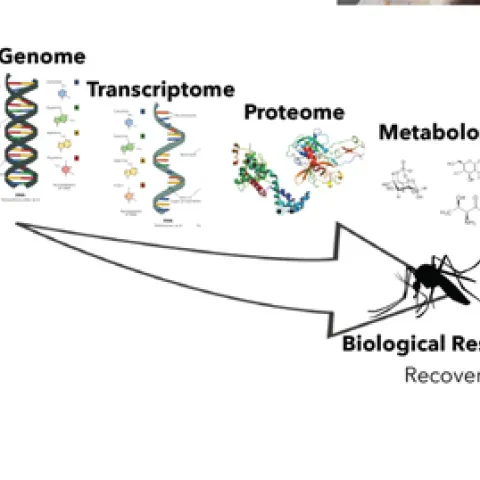 An illustration from the exit seminar of Erin "Taylor" Kelly.