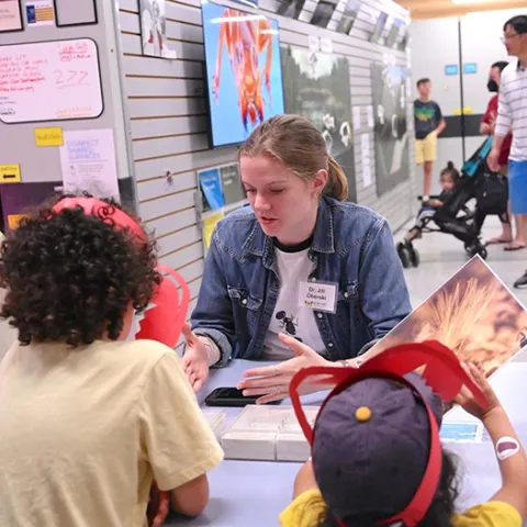 Myrmecologist Jill Oberski answers questions at the Bohart Museum of Entomology's open house on ants, held May 21. (Photo by Kathy Keatley Garvey)