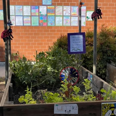 Jack London Elementary School Garden in Antioch. Photo by Kate Verhoef