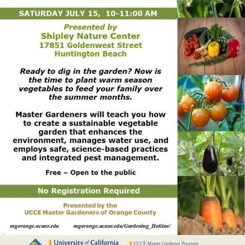 Summer Feasts Await: Start Planting Your Warm Season Vegetables Now!