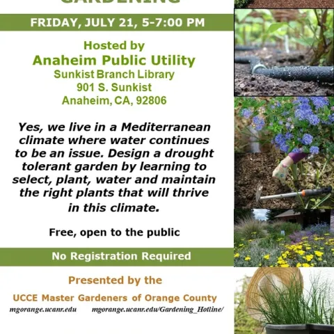 Thrive in a Water-Wise Oasis: Create Your Drought-Tolerant Garden Today!