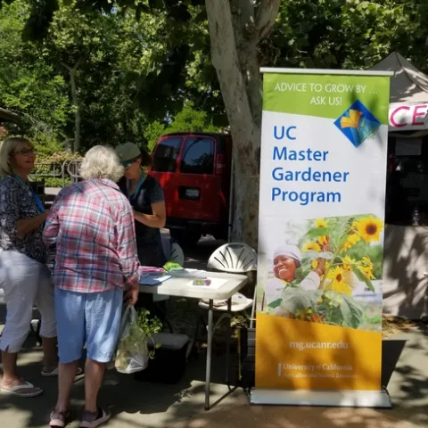 UC ANR Master gardener table at the Davis Farmers' market.
