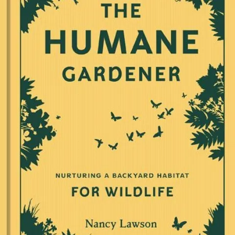 2023Q3 GrowingKnowledge01