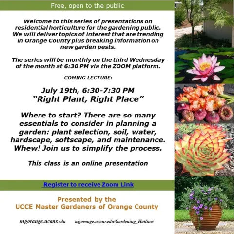 Planning a Garden? Start Here: Join Our Free Zoom Event