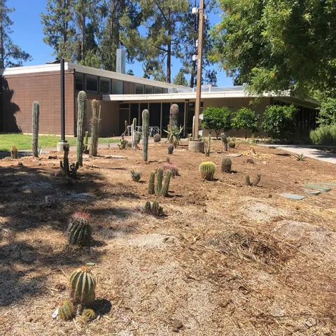 A garden in progress...A new addition to the Joseph and Emma Lin Biological Orchard and Garden at UC Davis is a cacti/succulent garden. (Photo by Kathy Keatley Garvey)