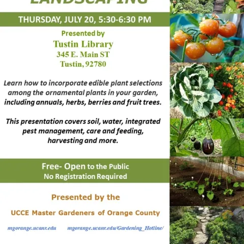 Unleash the Potential of Your Garden: Edible Plants among Ornamentals - Expert Insights