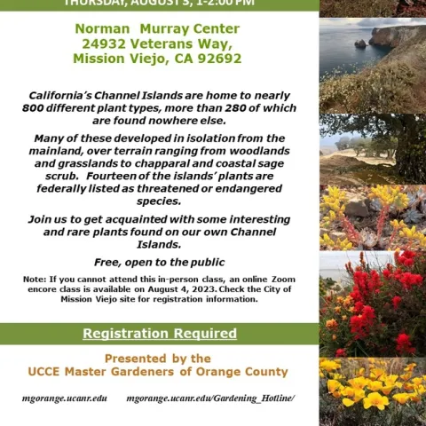 Embark on a Botanical Adventure: Explore the Rare and Intriguing Plants of California's Channel Islands