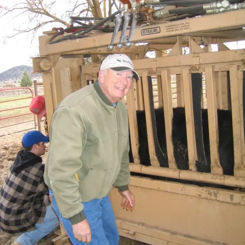 Man wearing ball cap and a jacket works next to a pen holding a cow.