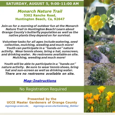 Calling Nature Enthusiasts: Join our Event at Monarch Nature Trail in Huntington Beach!